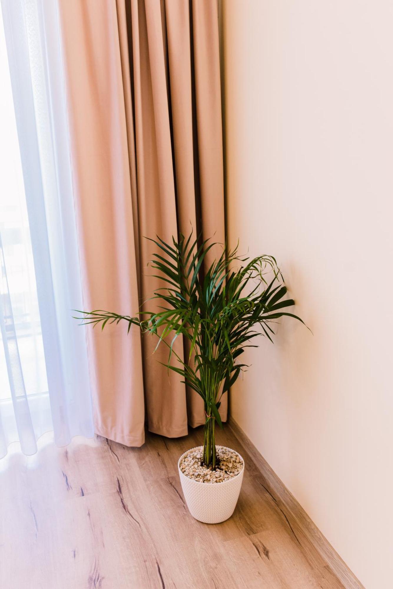 Central White Apartment Máréfalva Kültér fotó